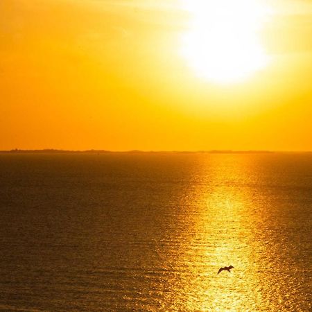 Cocooning Vue Mer, Appart A 300 M De La Plage. Apartment Granville Ngoại thất bức ảnh